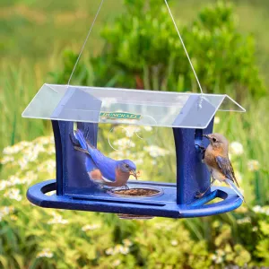 Duncraft Bluebird Cafe Feeder