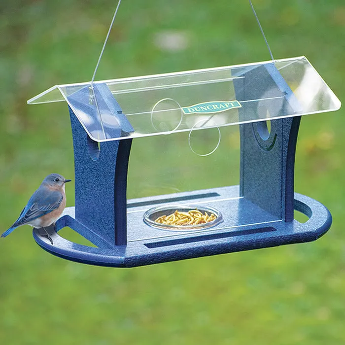 Duncraft Bluebird Cafe Feeder