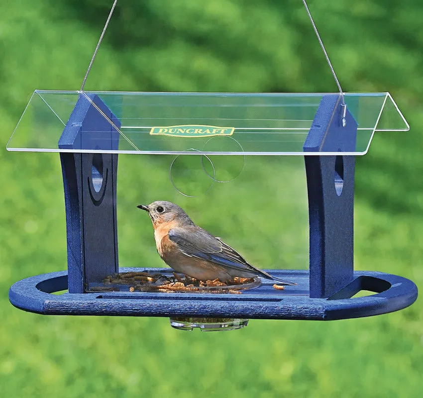 Duncraft Bluebird Cafe Feeder