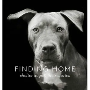 Finding Home