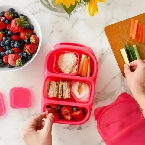 Goodbyn Bynto Lunchbox Neon Pink plus Two Leakproof Containers